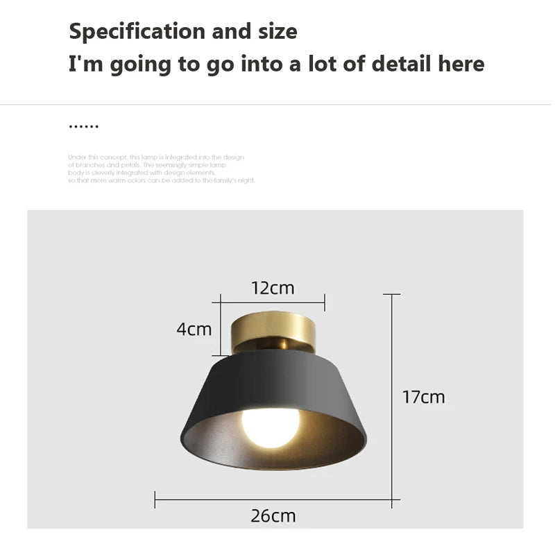 Vaxreen LED Ceiling Light Modern Nordic Style for Aisle Balcony Kitchen Home Fixtures